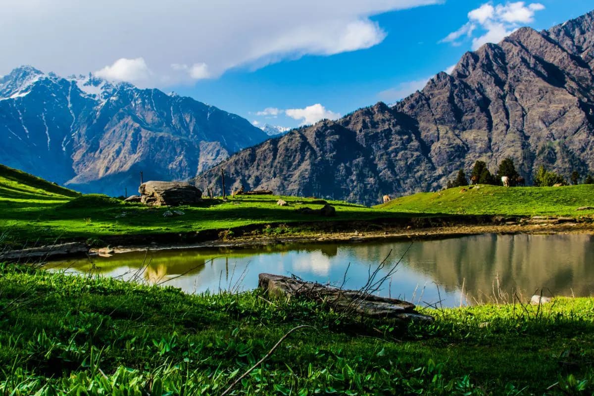 Morning light washing over the Dhauladhar range and cedar forests surrounding Dharamkot