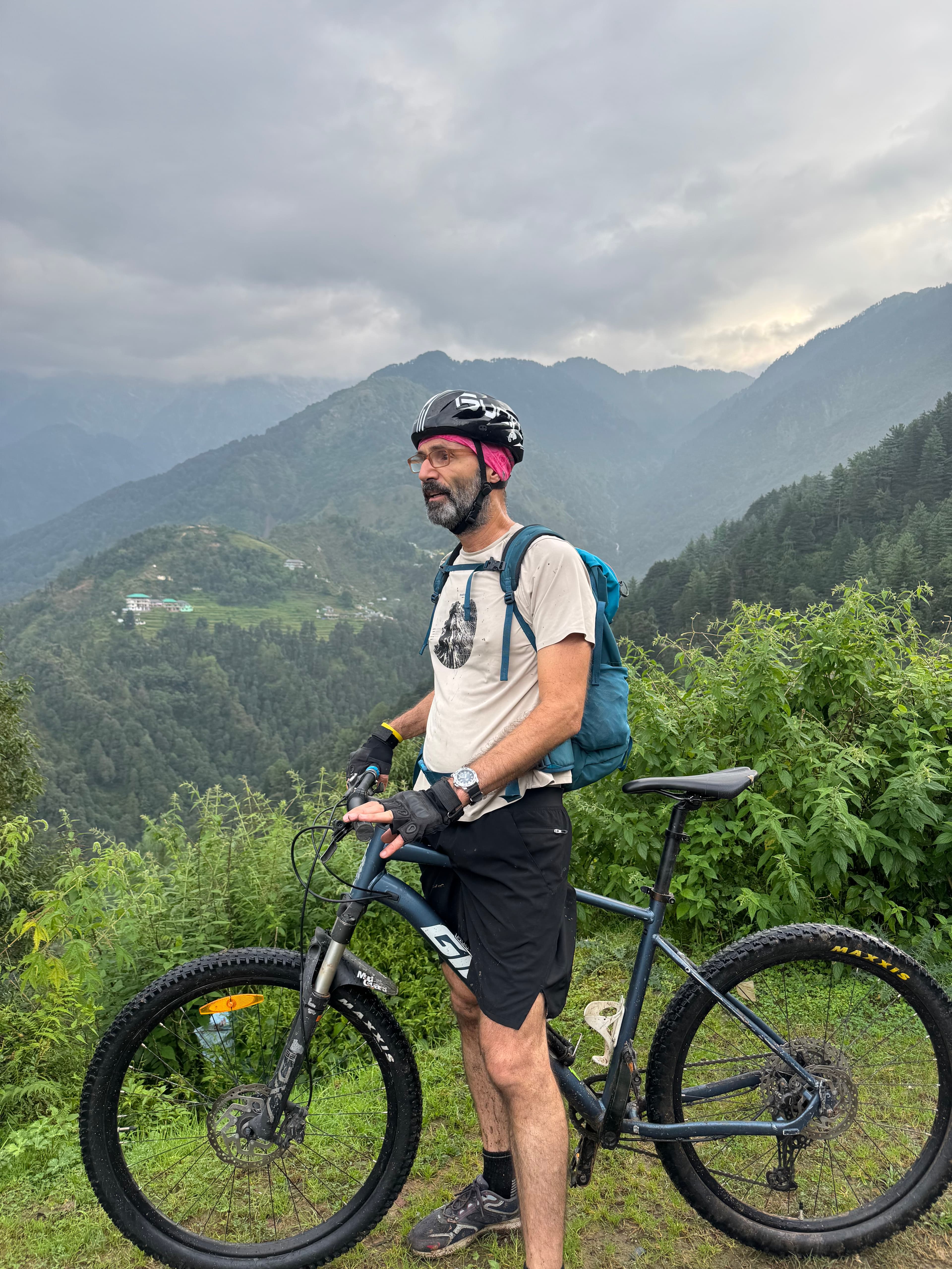 Cyclist descending toward Bir-Billing through cedar forests